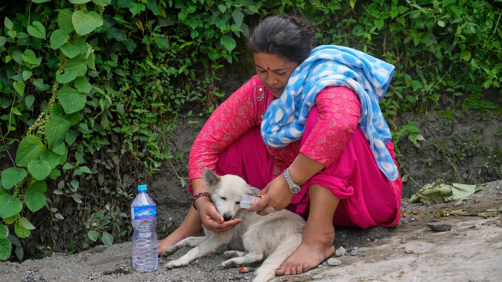 नेपाल में भीषण बाढ़ का कहर: मृतकों की संख्या बढ़कर 955 हुई, लापता लोगों की तलाश जारी