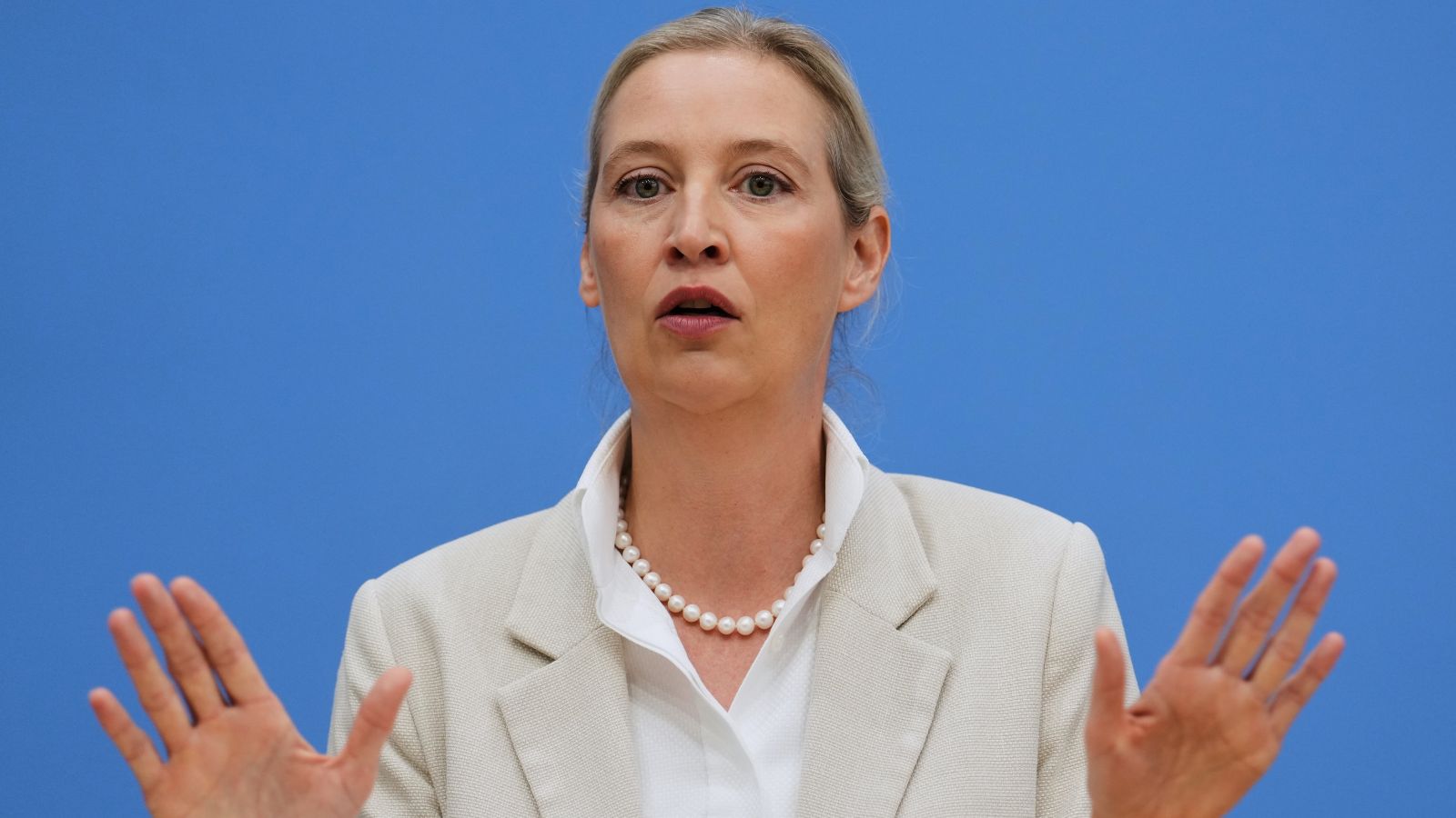 In German far-right party AfD’s rise, a bigger question for democracy