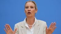 afd, germany