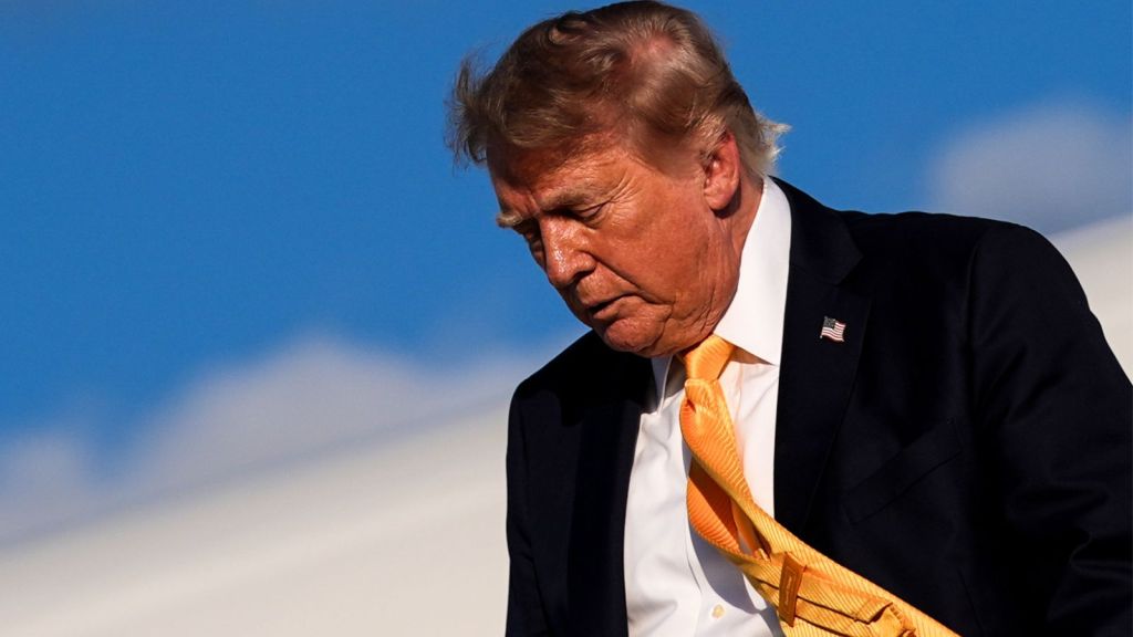 Donald Trump Hair