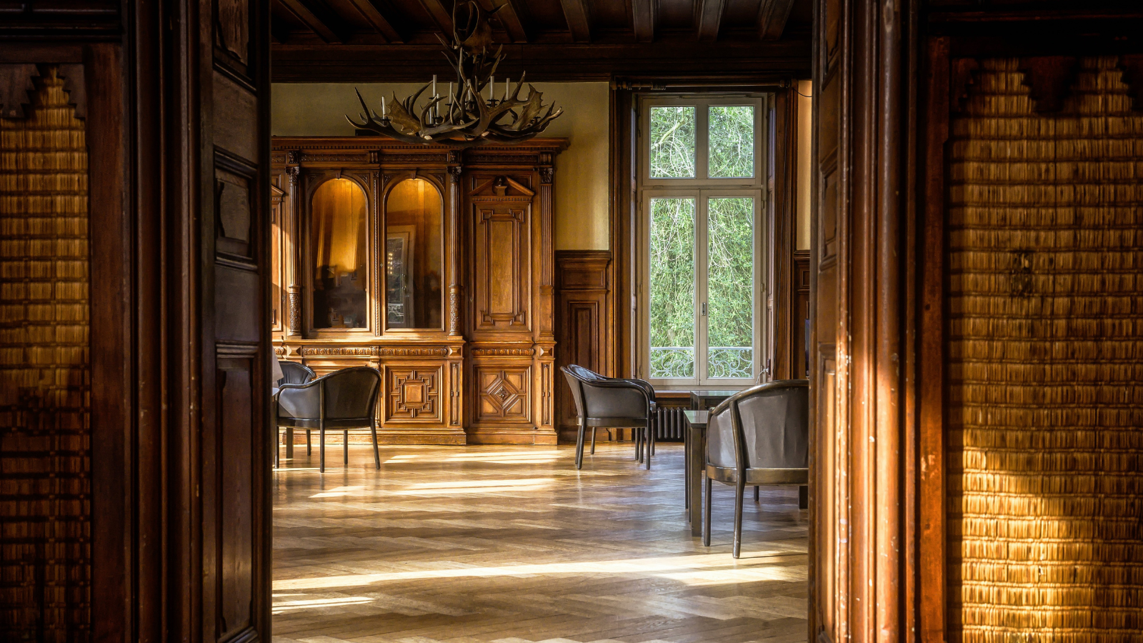Dark wood interior balanced with natural light