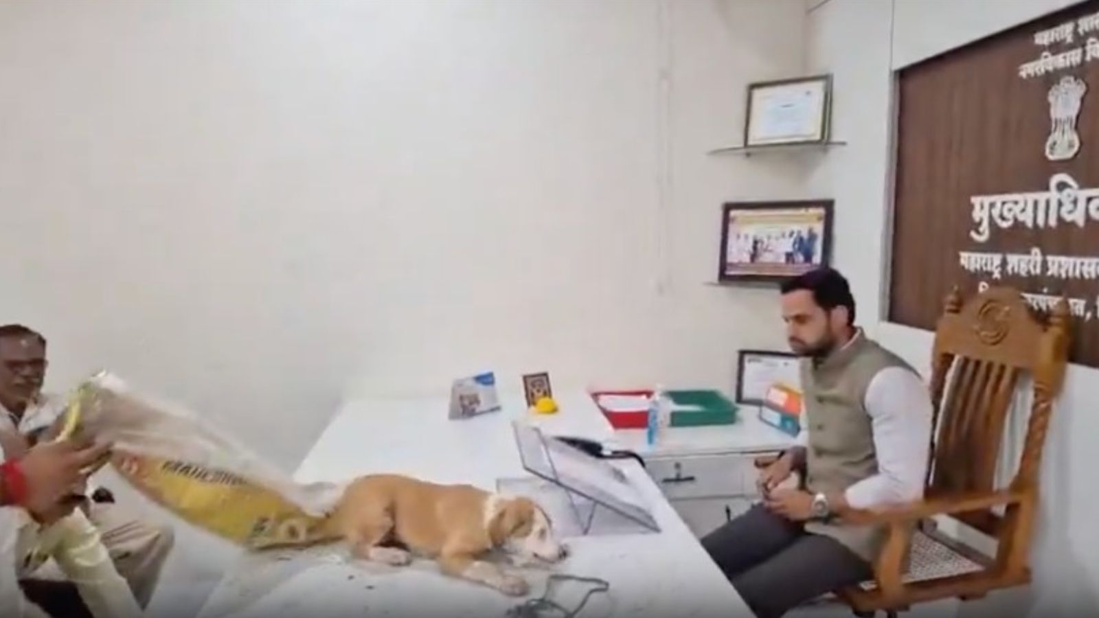 Bags open, dogs out: Sena UBT leader makes a ‘stray’ move at panchayat office Bags open, dogs out: Sena UBT leader makes a ‘stray’ move at panchayat office