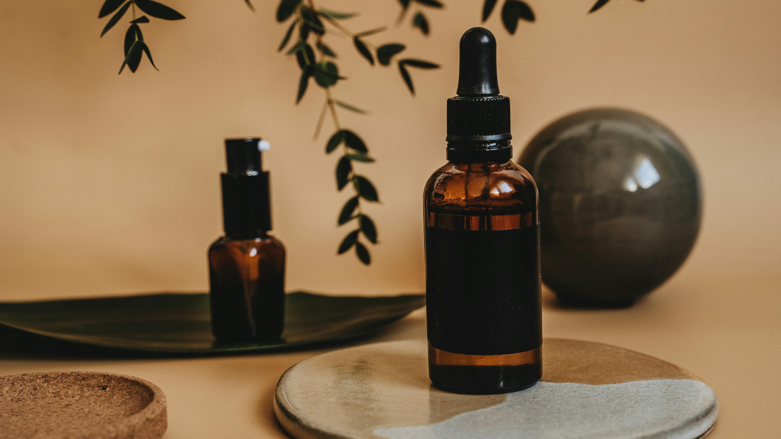 Gallic acid skincare antioxidant