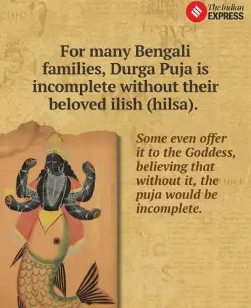 Knowledge Nugget | Hilsa (ilish): What is it and why is India exporting it to Bangladesh?