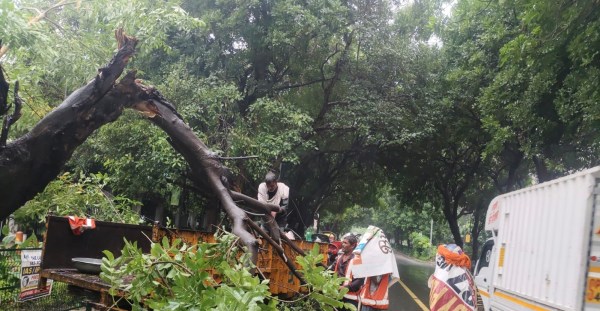 Teams are on the ground clearing fallen trees and branches along the roads in Sectors 18–19, Udyog Vihar, following the rain.