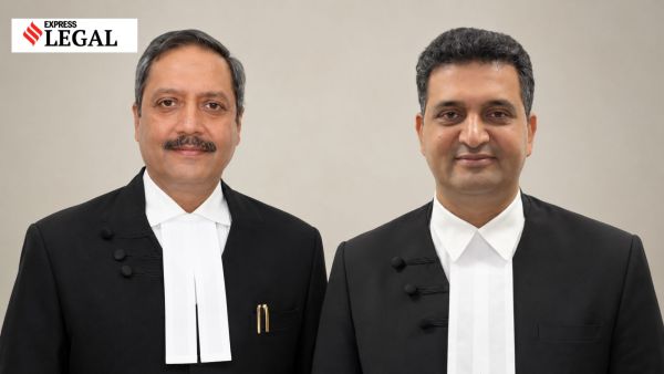 Justices Vinod S Bhardwaj and Ravinder Malik Punjab and Haryana High Court death penalty toddler child murder mother 