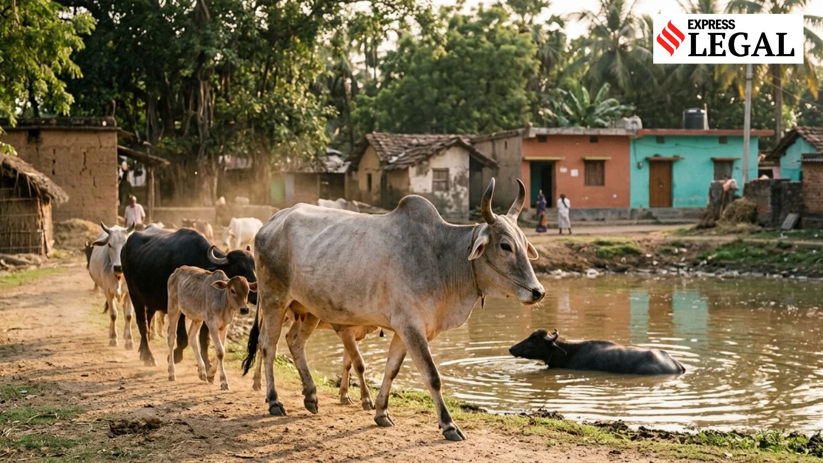 Legal system treats animals like objects, not living beings: Jammu & Kashmir High Court – politics Legal system treats animals like objects, not living beings: Jammu & Kashmir High Court – politics