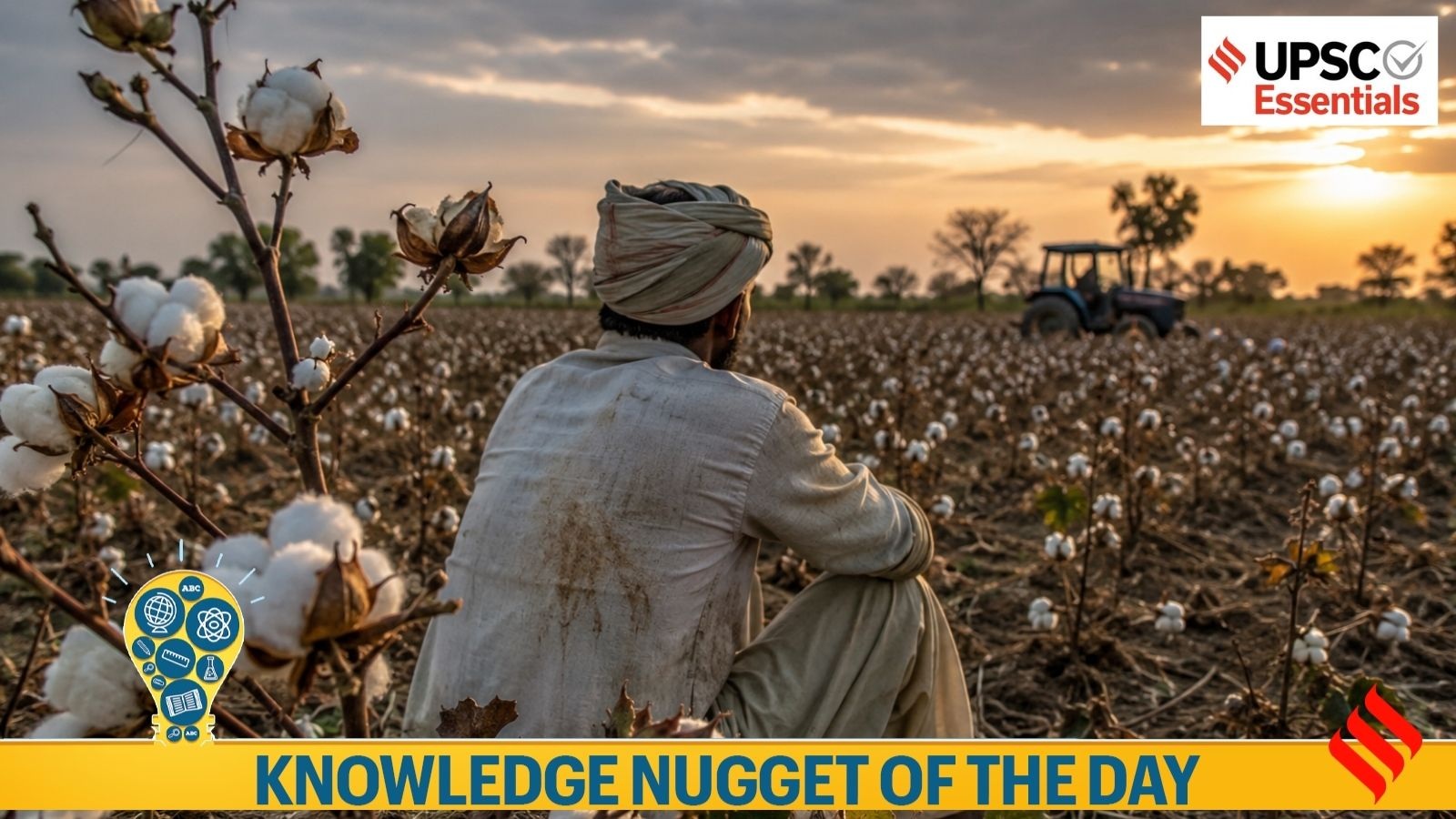 Knowledge Nugget | Why is North India’s cotton belt shrinking? 