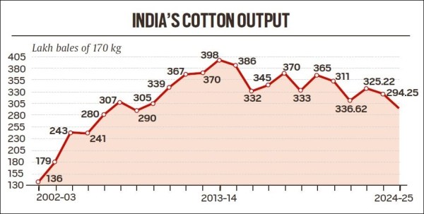 cotton production, India cotton, cotton, UPSC CSE 2027