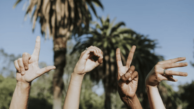 sign languages