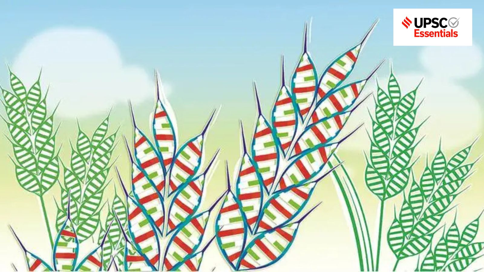 Fortification and Biofortification Offer India Tools Against Hidden Hunger
