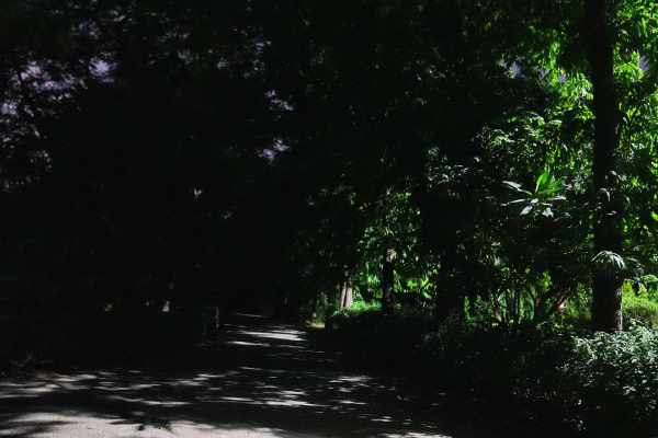delhi parks