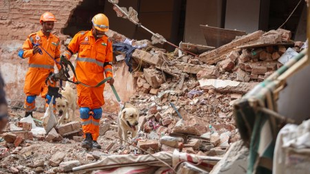 Rescue operation underway a day after building collapsed at Satya Niketan in New Delhi on Monday.