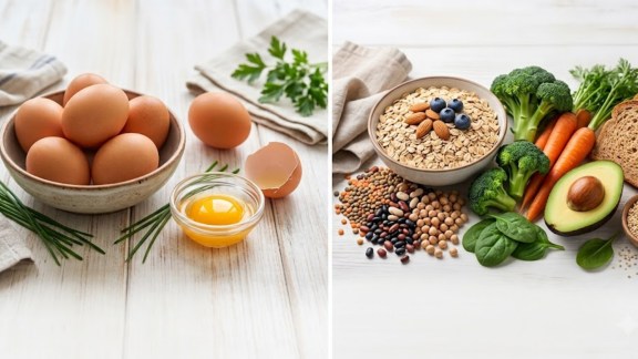 eggs vs fibre