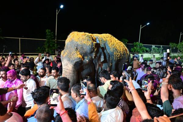 Madhuri, the elephant, was brought to Nandini Math in Kolhapur from Vantara in Gujarat at 2 AM on Saturday. (Express Photo By Pavan Khengre)