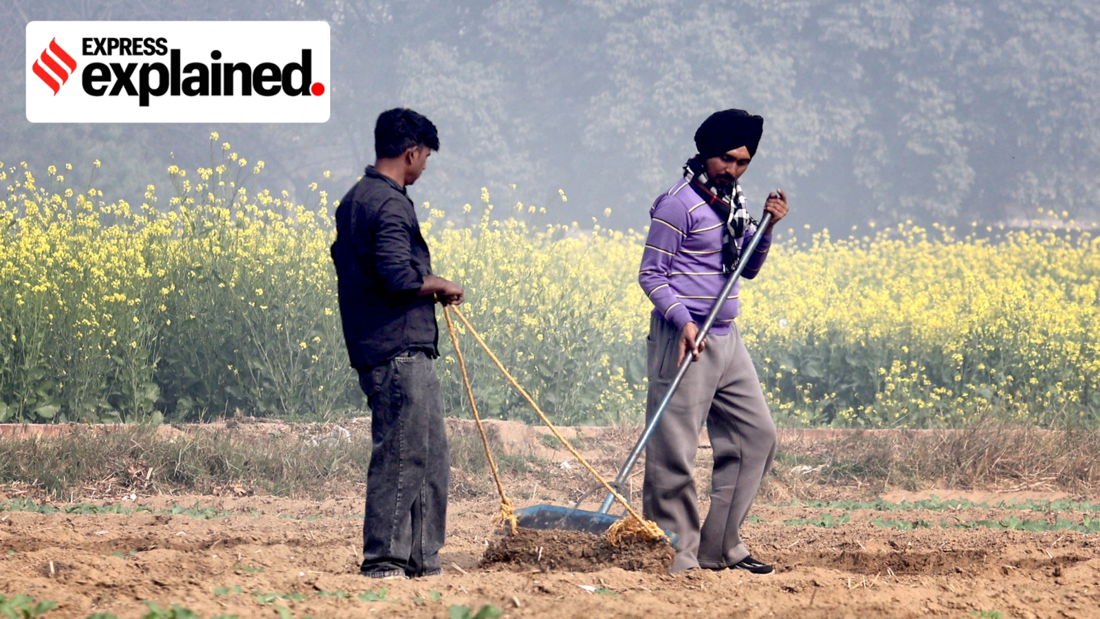 Punjab depends on agriculture. Why it still lacks a dedicated farm policy