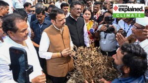 Maharashtra is parched, but here’s why drought can’t be declared before October
