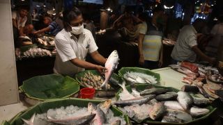 Vendors are busy with selling Hilsa Fish, imports from Bangladesh in Maniktala Market ,one of the oldest market in Kolkata famous for fish.