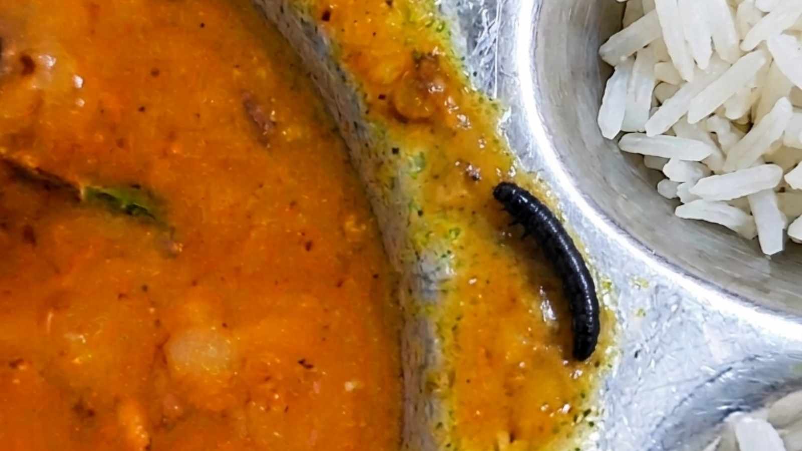 ‘Worms in idli, insects in chhole’: Hostel students protest at Jamia