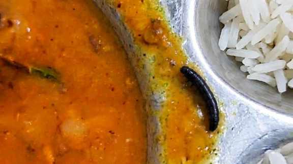 jamia food