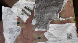 CO Dwivedi denied the allegations of assault and tearing of papers, stating there was no such incident.