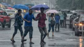 Rain