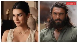 Kriti Sanon's Raksha Bandhan ad was pulled down after paid trolling. Critics panning Dhurandhar also got trolled widely.