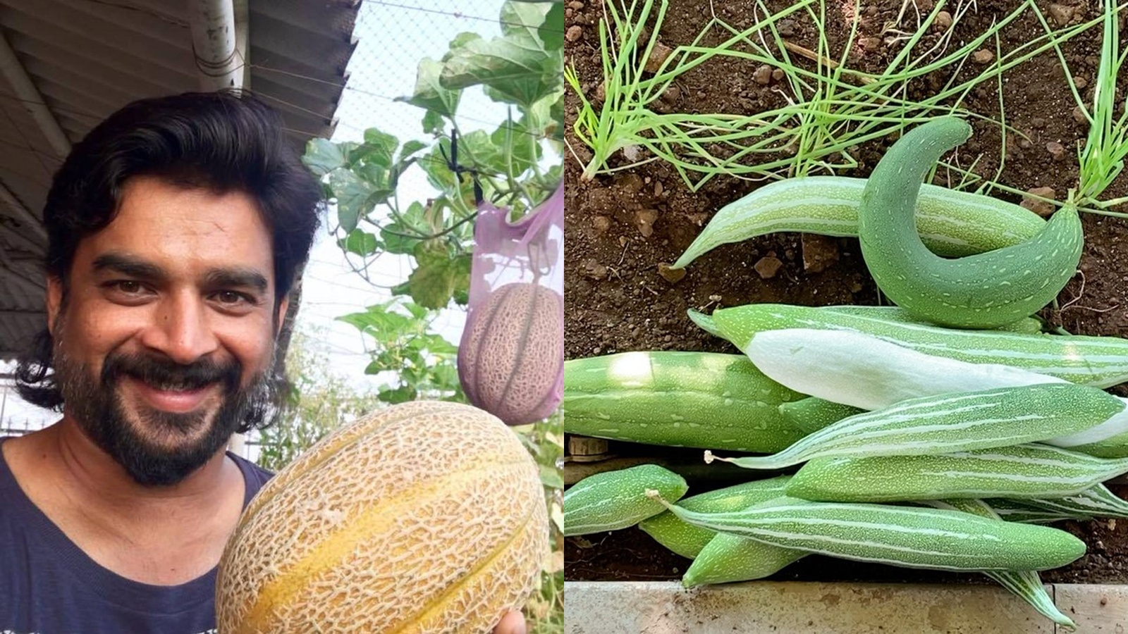 R Madhavan turned ₹17.5-crore Mumbai home’s balcony into an organic garden — how you can too