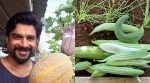 R Madhavan's balcony organic garden