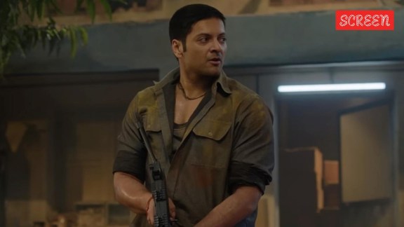Mirzapur The Movie