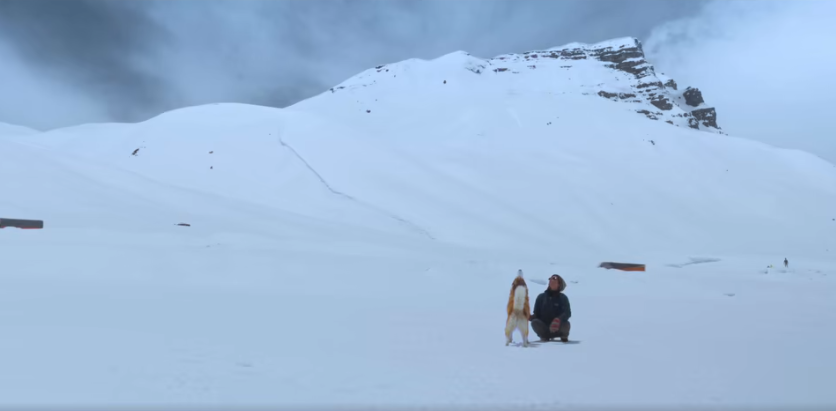 Oslo: Tail of Promise, film on how a Husky from Pune took his human to the snow, The Farm, Protecterra Ecological Foundation, National Defence Academy (NDA), Pooja Bhale, delhi news, India news, Indian express, current affairs