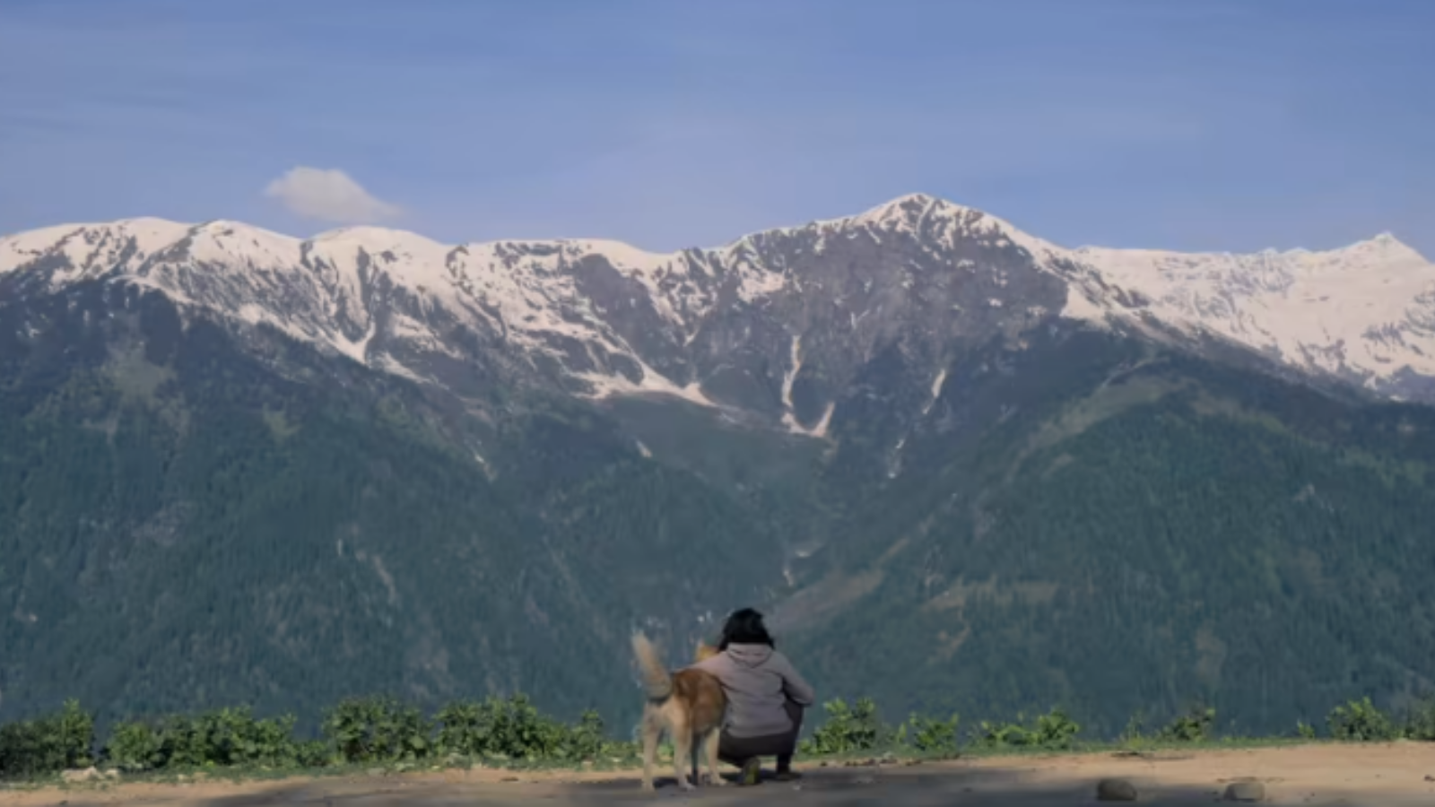 At IIC today, a film on how a Husky from Pune took his human to the snow
