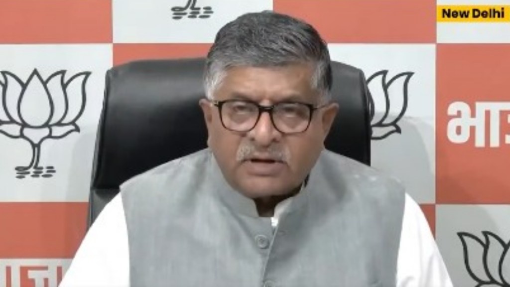 Baseless BJP: Rahul Gandhi lied, claims baseless, Opposition must work hard to ...