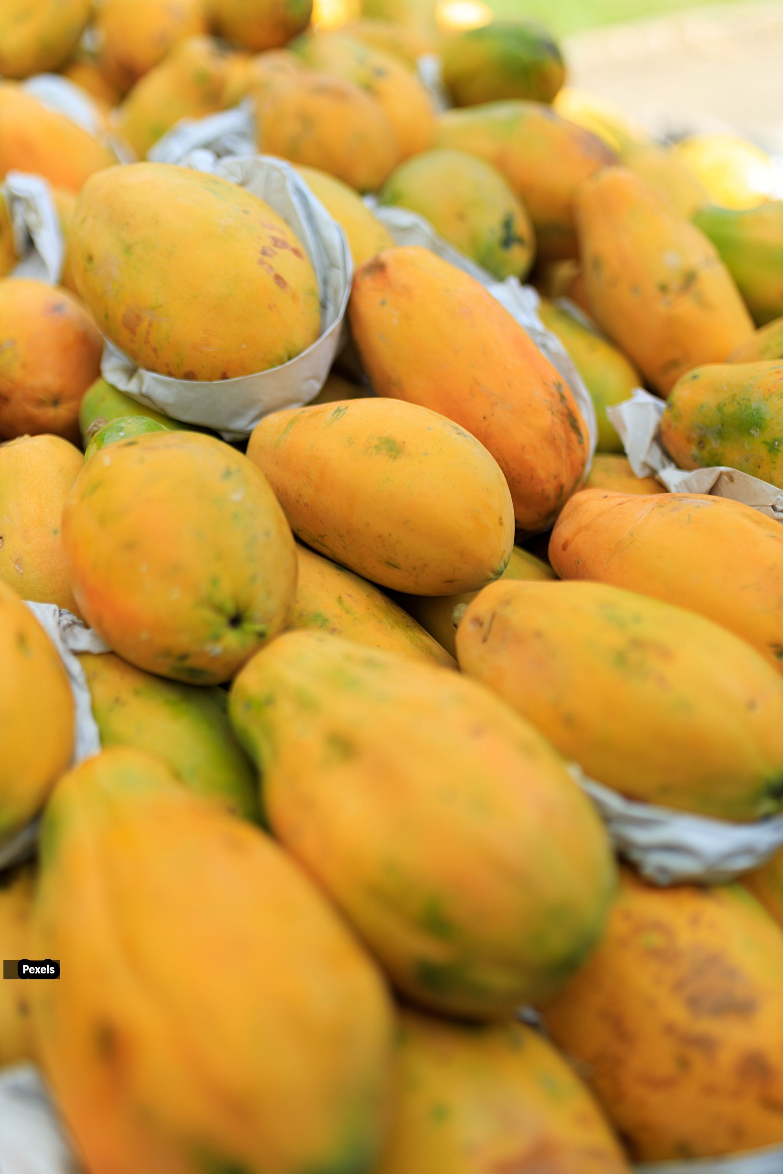 papaya