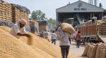 Officials and industry representatives, however, say the problem is no longer simply one of milling capacity, but the lack of space to store rice after it is milled and the slow movement of stocks out of the state. (AI generated Image)