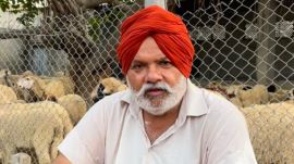 Punjab farmer sheep farming