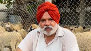 Punjab farmer sheep farming