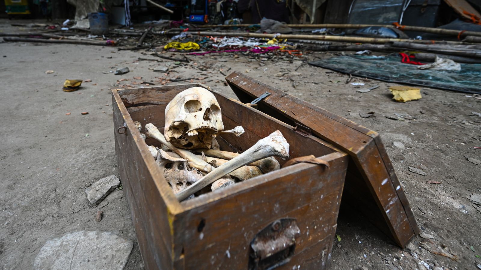 Artificial Skeleton Found During Delhi Cleanliness Drive Is Not Human, Police Say