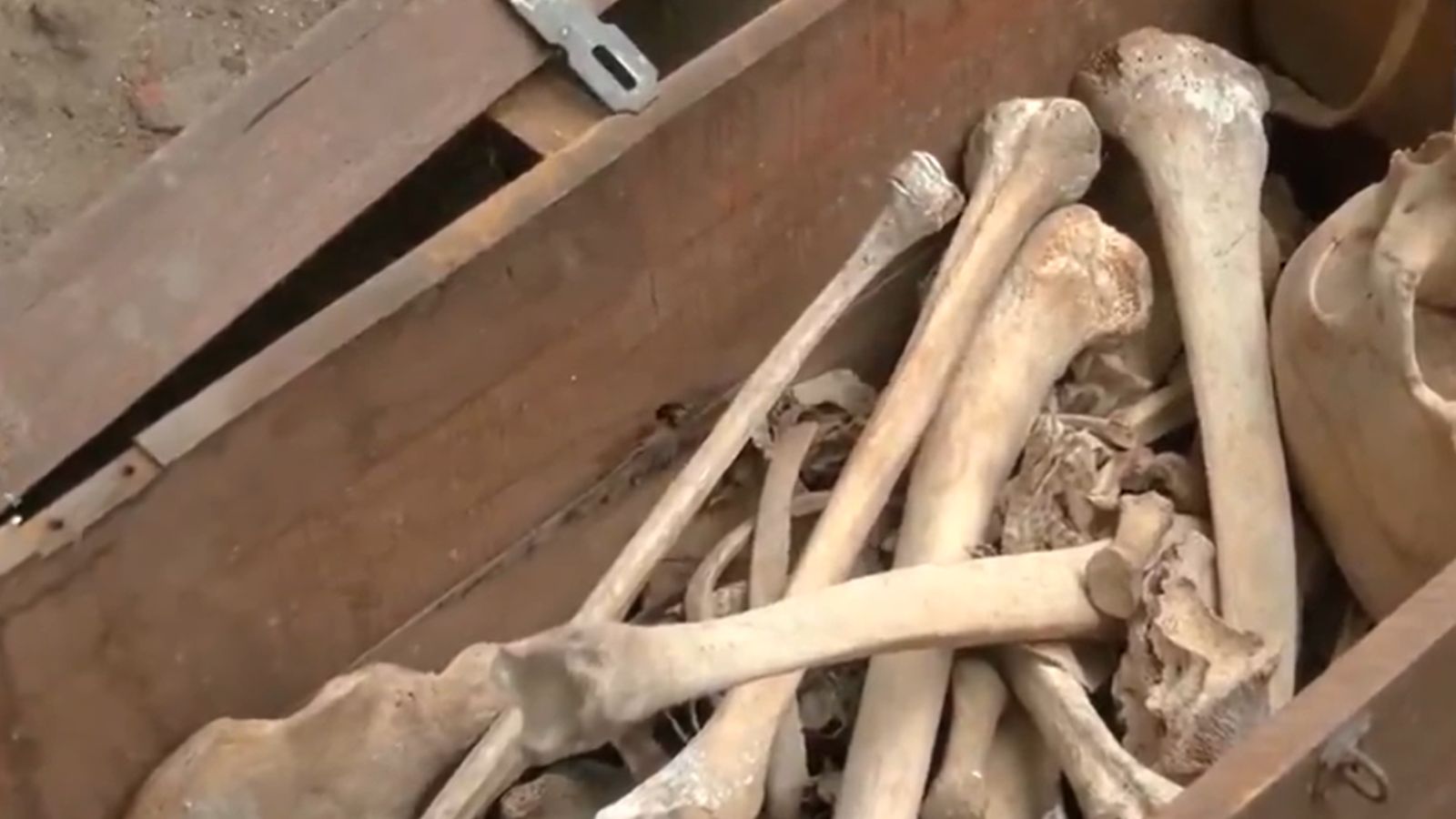 Artificial skeleton found during cleanliness drive in Delhi prompts police probe after BJP seeks inquiry