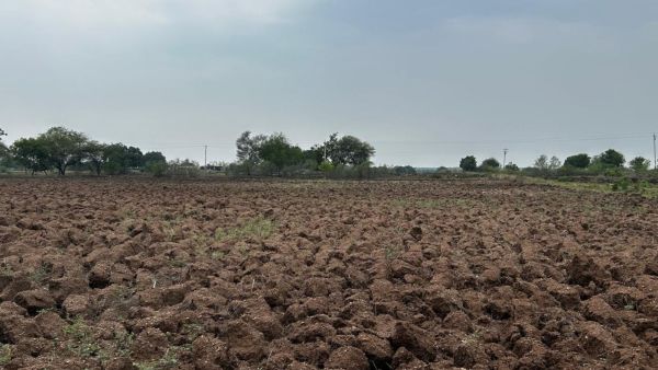 A ploughed field lies dry and clodded in Tulshi. (Express)