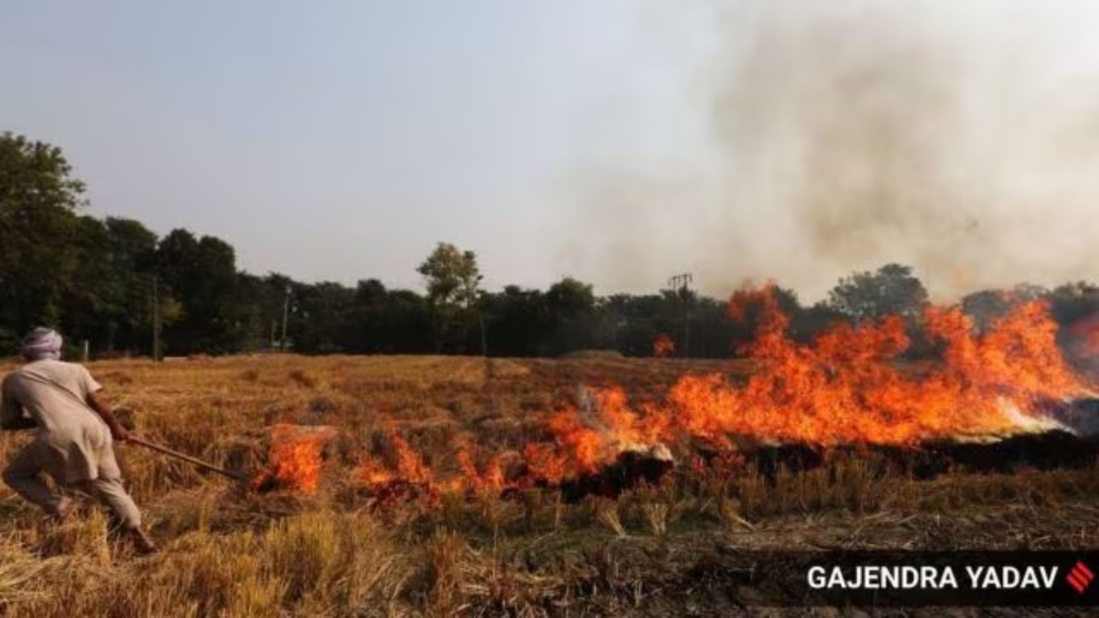 Centre’s fresh ‘red entry’ move to act against farmers burning stubble