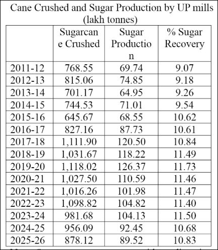 As UP’s sugar output plunges, hopes on a new cane variety