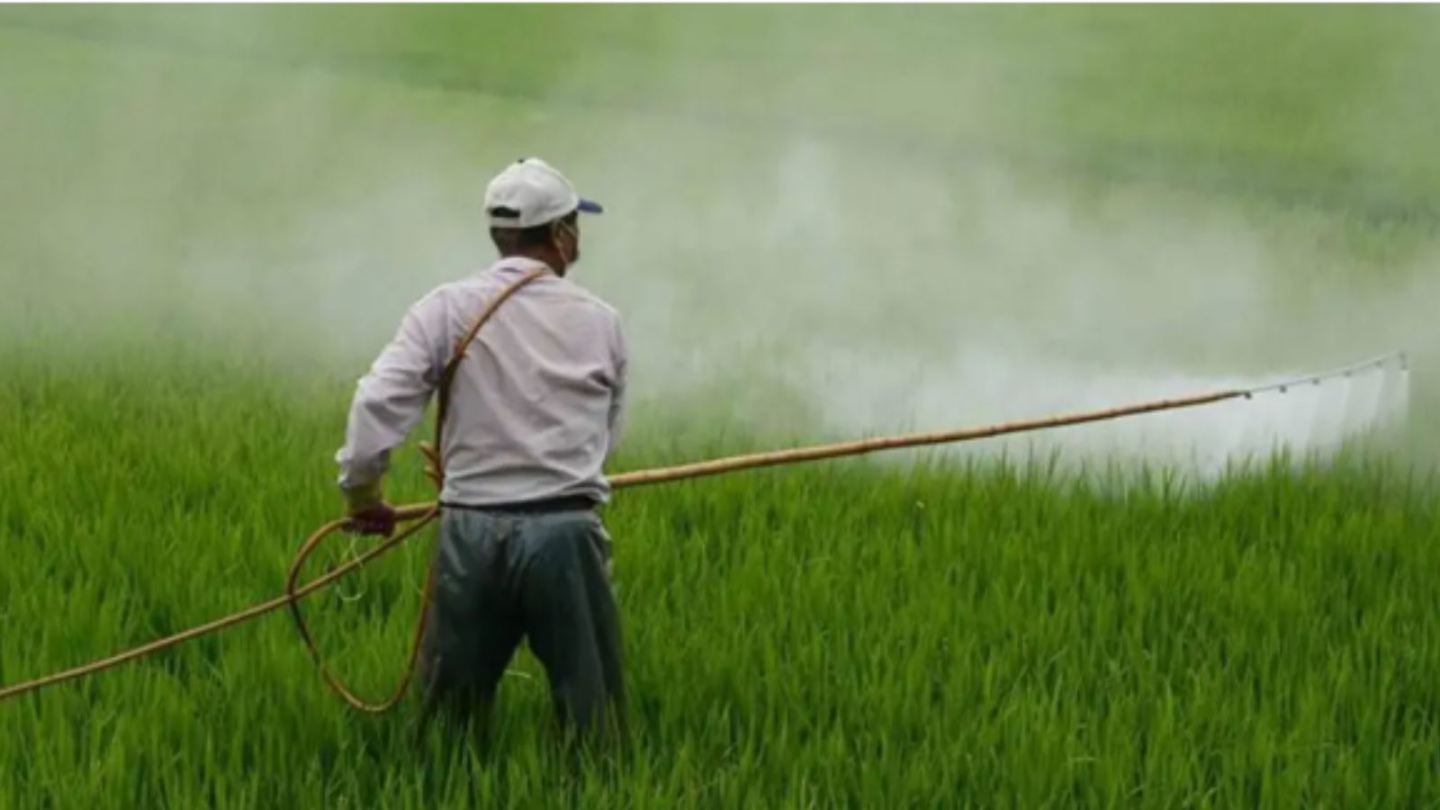 As energy infra comes under attack in Russia & West Asia, India has a new fertiliser problem – Sulphur As energy infra comes under attack in Russia & West Asia, India has a new fertiliser problem – Sulphur