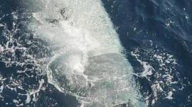 Iran’s Revolutionary Guards said on Tuesday it had captured a US uncrewed submarine at the entrance to the Strait of Hormuz (IRIB/X)