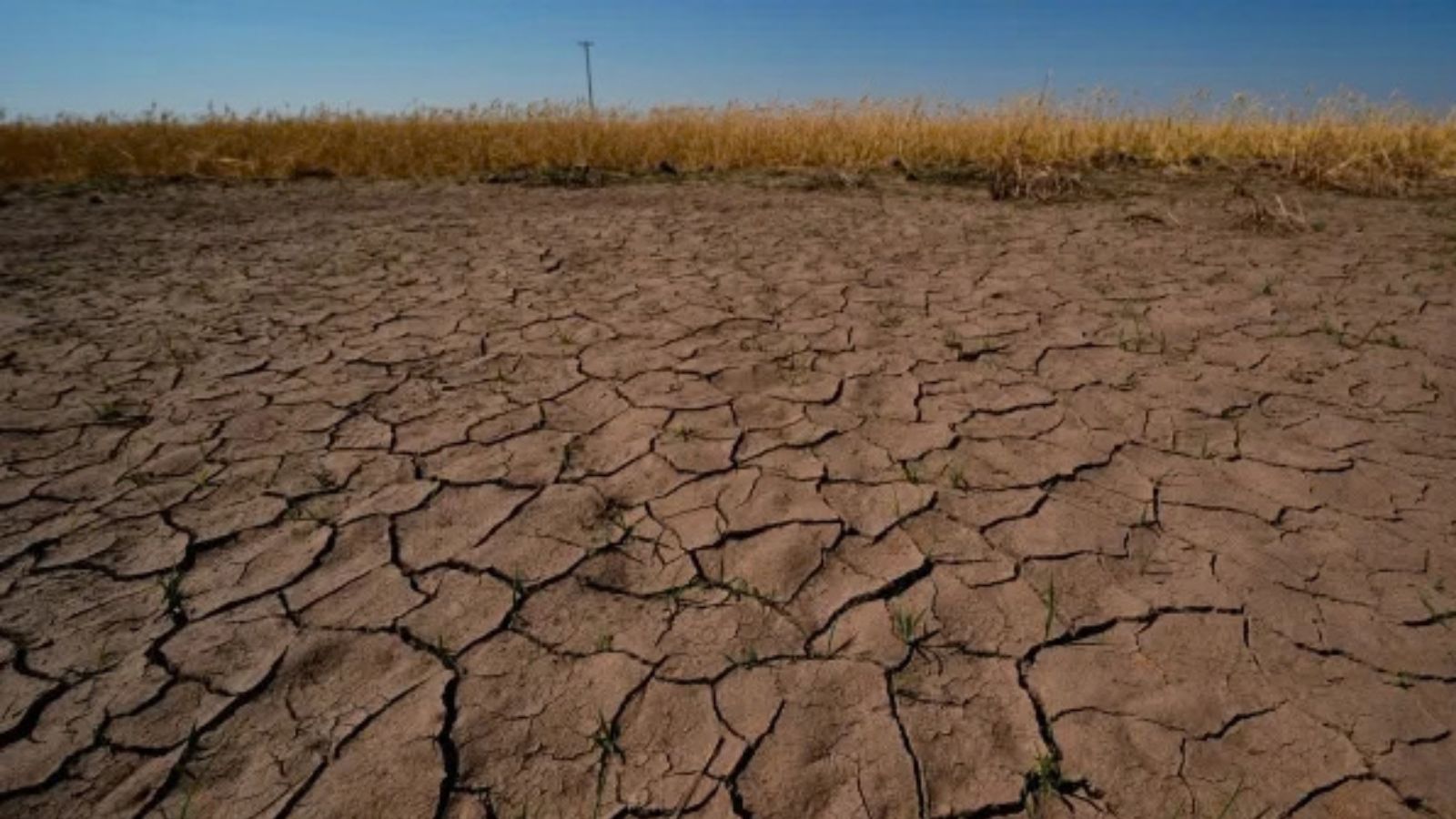 More wait for NaMo scheme instalments as Maharashtra turns focus to drought aid