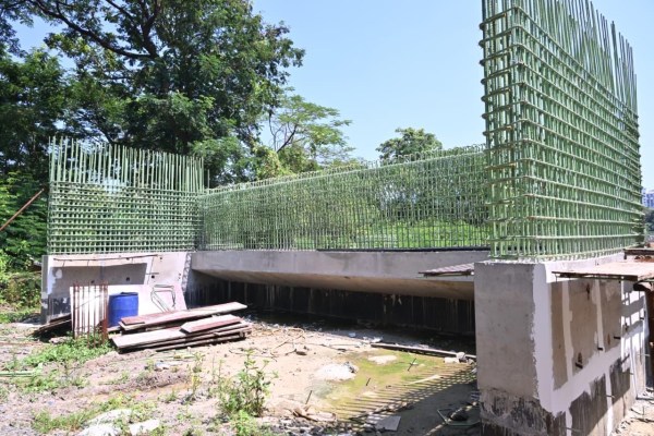 The bridge will be Y-shaped, while the main structure will feature a 110-metre-long single-span steel “basket handle arch” structure