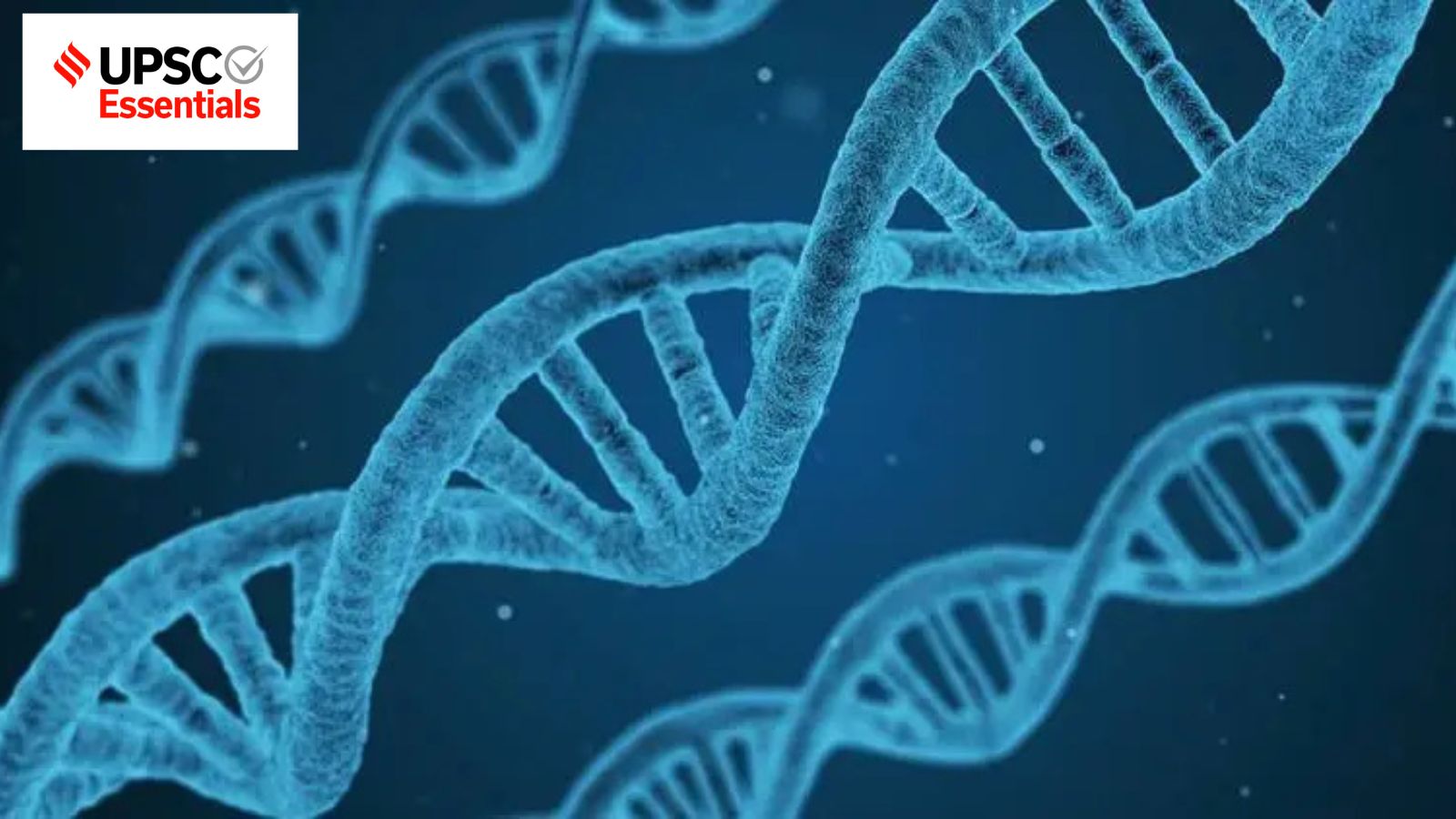 Von Algorithmen zu Experimenten: Die sich wandelnde Rolle der KI in der ...