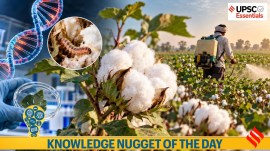 Knowledge Nugget | What a new study reveals about unapproved GM cotton hybrids. (UPSC CSE, UPSC IAS)