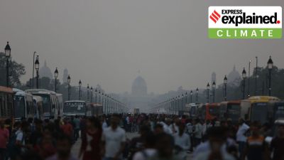 GRAP Stage I invoked in Delhi-NCR: What restrictions apply and what residents need to know
