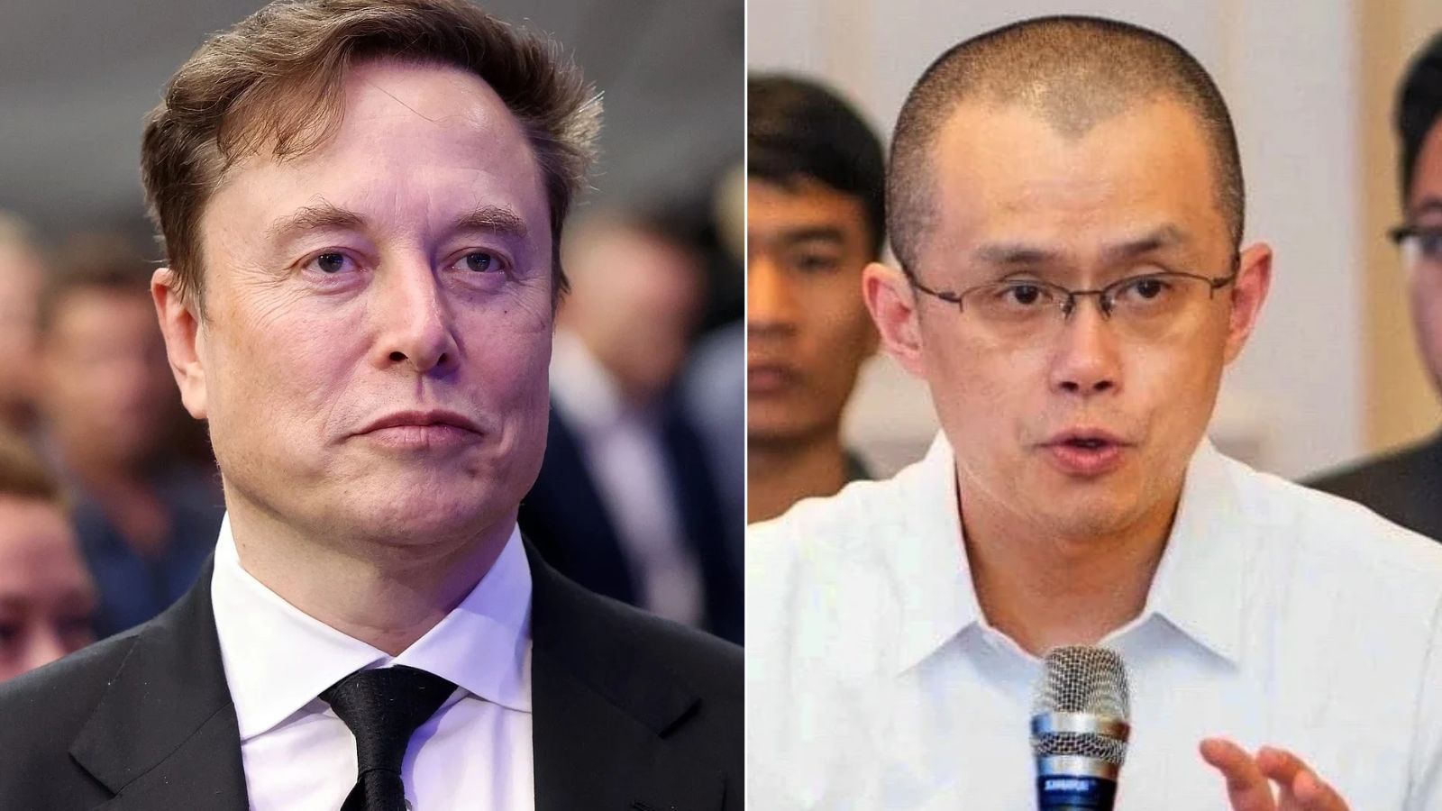 ‘Bad time to troll’: Binance founder reminds Elon Musk of $500m Twitter support
